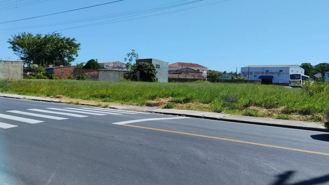 Foto 3 de Terreno / Lote à venda, 4500m2 em Iguape - SP