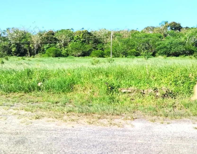 Foto 2 de Terreno / Lote à venda, 250m2 em Iguape - SP