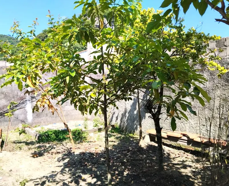 Casa com 1 quarto à venda, 250m2 em Iguape - SP - imagem 7 Foto 7 de Casa com 1 quarto à venda, 250m2 em Iguape - SP