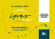 Imagem 13