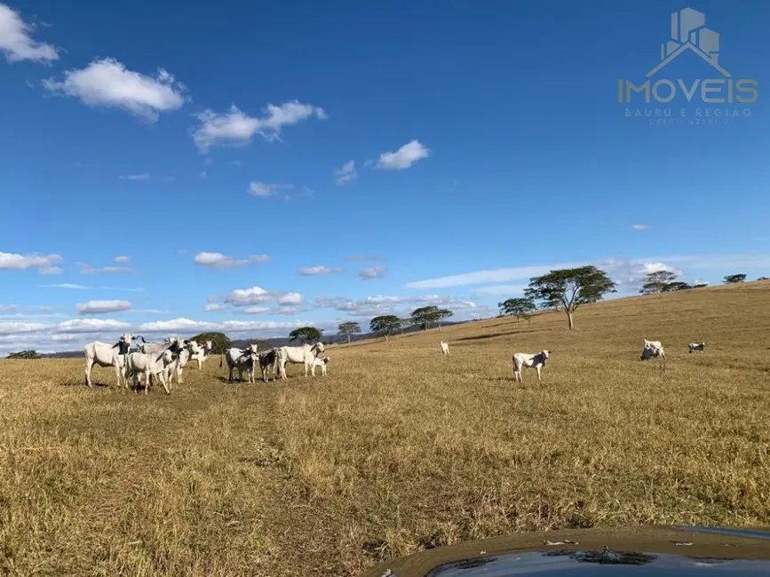 Fazenda / Haras com 3 quartos à venda, 130m2 em Área Rural de Marília, Marilia - SP - imagem 7 Foto 7 de Fazenda / Haras com 3 quartos à venda, 130m2 em Área Rural de Marília, Marilia - SP