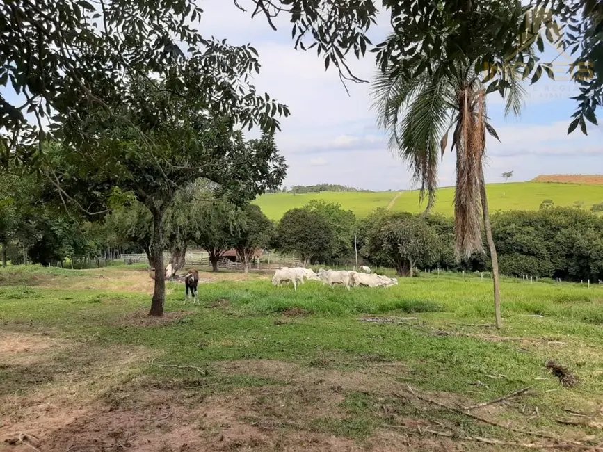 Foto 4 de Fazenda / Haras à venda, 25m2 em Área Rural de Bauru, Bauru - SP