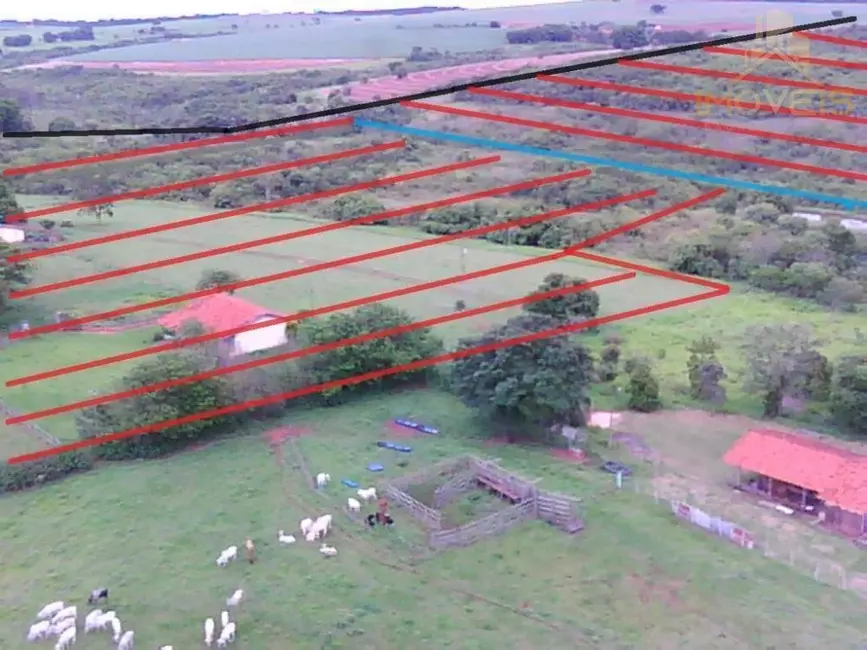 Foto 3 de Fazenda / Haras à venda, 130m2 em Arealva - SP