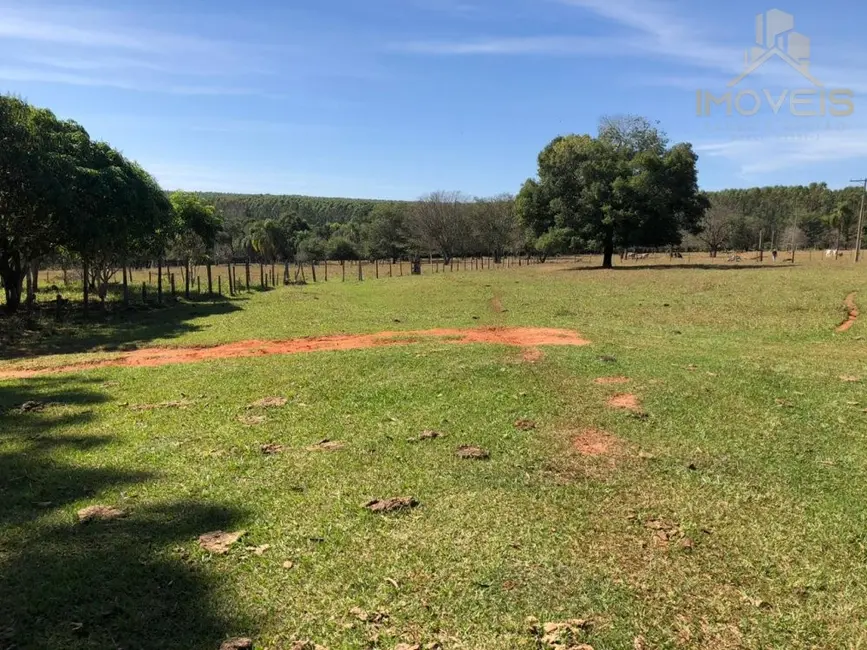 Foto 8 de Fazenda / Haras à venda, 25m2 em Paulistania - SP