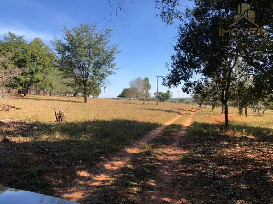 Foto 6 de Fazenda / Haras à venda, 25m2 em Paulistania - SP