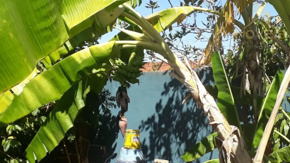 Foto 7 de Chácara com 2 quartos à venda, 700m2 em Quinta da Bela Olinda, Bauru - SP