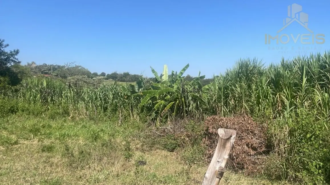 Foto 4 de Fazenda / Haras com 3 quartos à venda, 45000m2 em Rio Verde, Bauru - SP