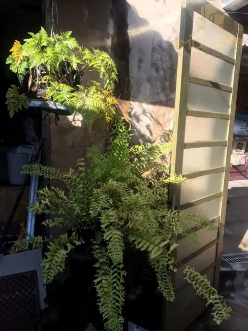 Casa com 3 quartos à venda, 211m2 em Núcleo Habitacional Vereador Edson Francisco da Silva, Bauru - SP - imagem 1 Foto 1 de Casa com 3 quartos à venda, 211m2 em Núcleo Habitacional Vereador Edson Francisco da Silva, Bauru - SP