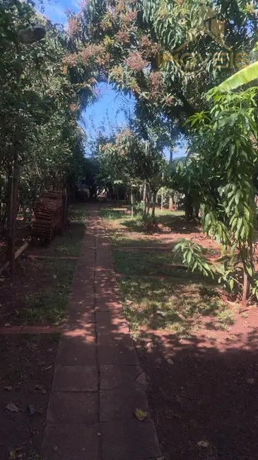 Foto 8 de Fazenda / Haras com 2 quartos à venda, 204m2 em Arealva - SP