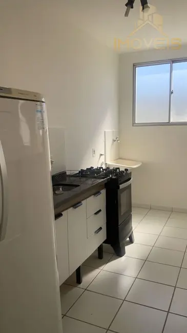 Apartamento com 2 quartos para alugar, 93m2 em Jardim Terra Branca, Bauru - SP - imagem 6 Foto 6 de Apartamento com 2 quartos para alugar, 93m2 em Jardim Terra Branca, Bauru - SP