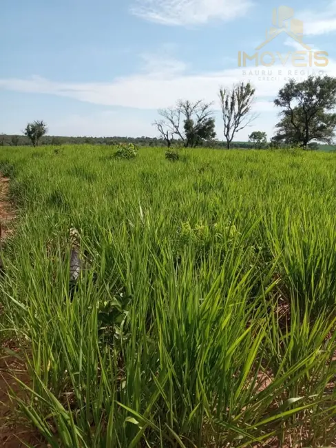 Foto 5 de Fazenda / Haras à venda, 93m2 em Ribas Do Rio Pardo - MS