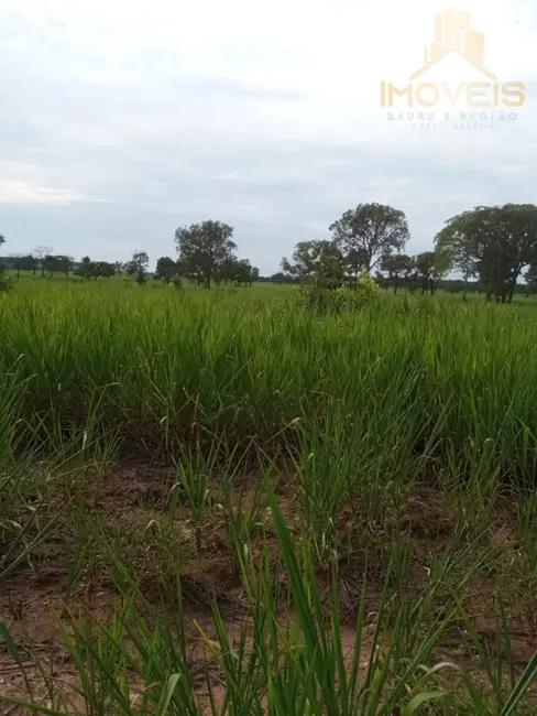 Foto 2 de Fazenda / Haras à venda, 93m2 em Ribas Do Rio Pardo - MS