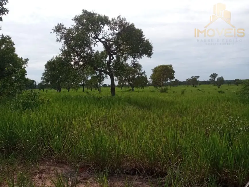 Foto 3 de Fazenda / Haras à venda, 93m2 em Ribas Do Rio Pardo - MS