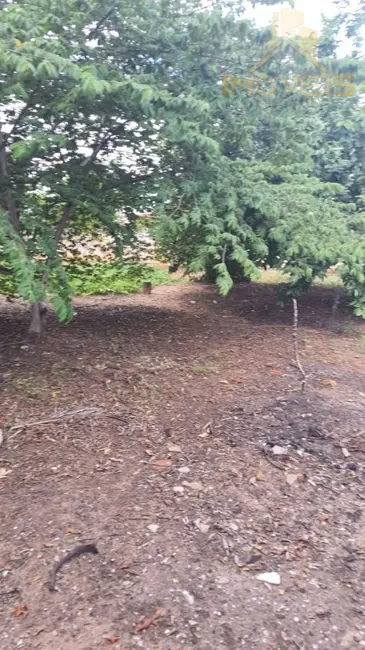 Foto 3 de Terreno / Lote à venda, 274m2 em Parque Residencial Castelo, Bauru - SP