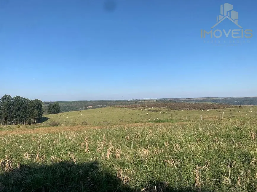 Foto 4 de Fazenda / Haras à venda, 61m2 em Área Rural de Marília, Marilia - SP