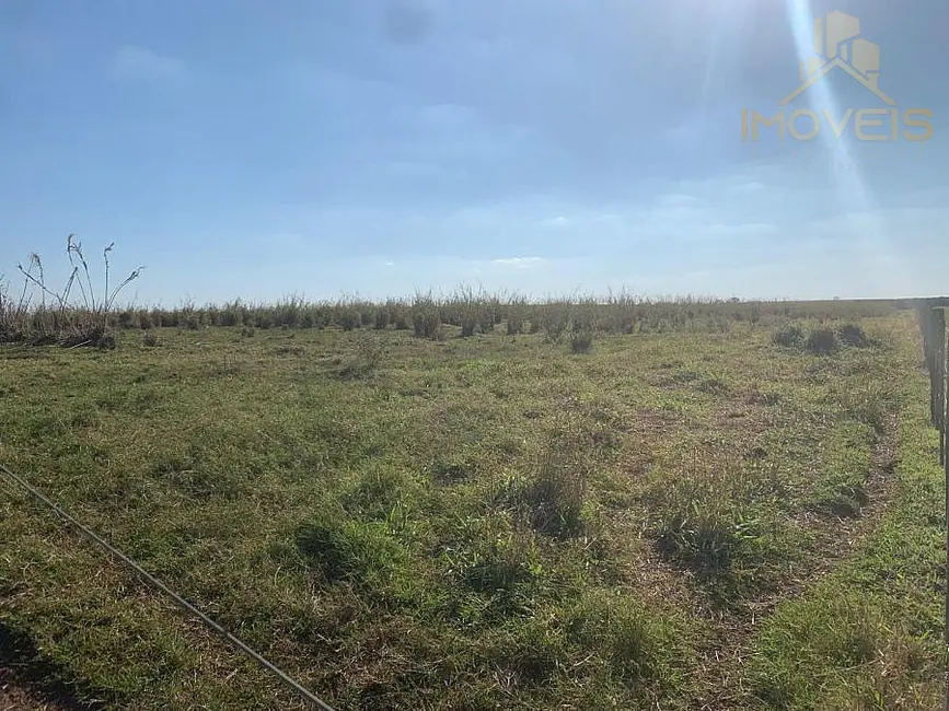 Foto 3 de Fazenda / Haras à venda, 61m2 em Área Rural de Marília, Marilia - SP