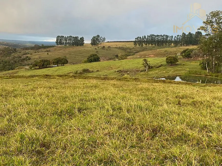 Foto 8 de Fazenda / Haras à venda, 61m2 em Área Rural de Marília, Marilia - SP
