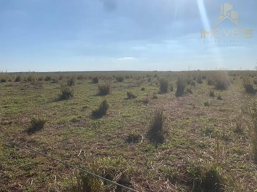 Foto 6 de Fazenda / Haras à venda, 61m2 em Área Rural de Marília, Marilia - SP