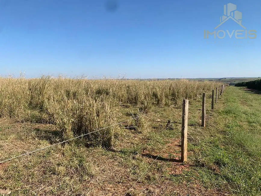 Foto 9 de Fazenda / Haras à venda, 61m2 em Área Rural de Marília, Marilia - SP