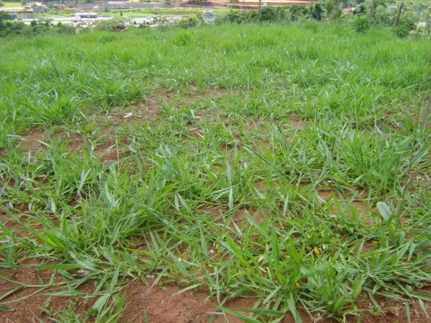 Foto 2 de Terreno / Lote à venda, 3403m2 em Atibaia - SP