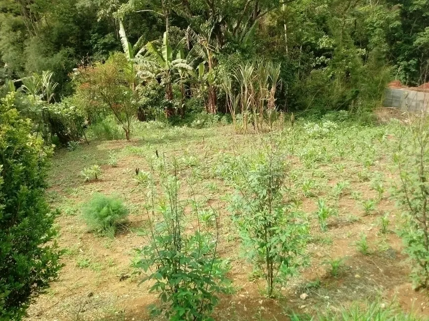 Foto 3 de Terreno / Lote à venda, 317m2 em Mairipora - SP