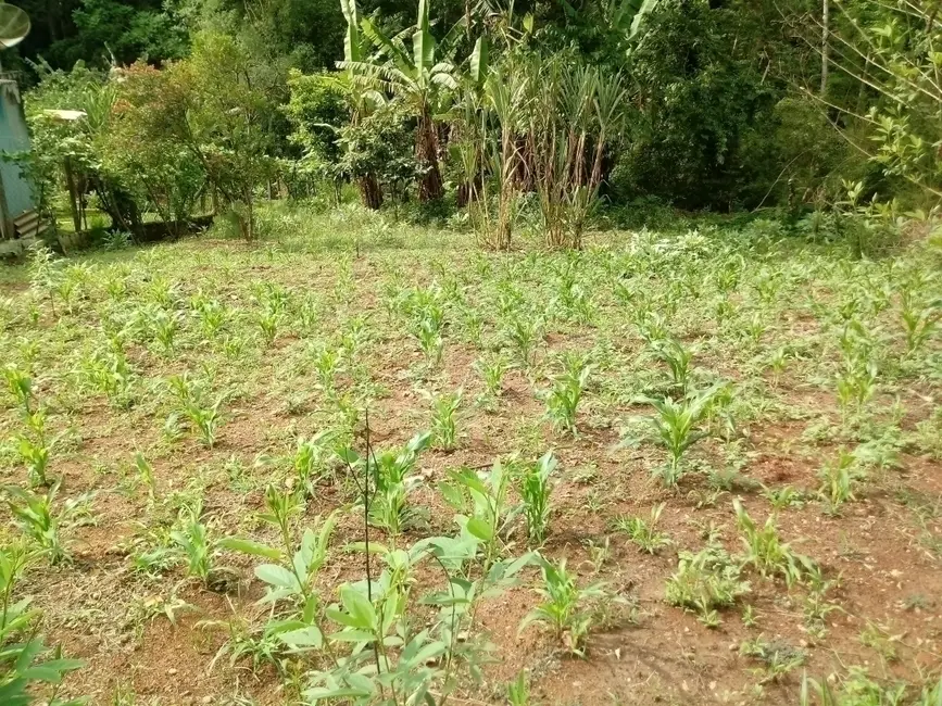 Foto 1 de Terreno / Lote à venda, 317m2 em Mairipora - SP