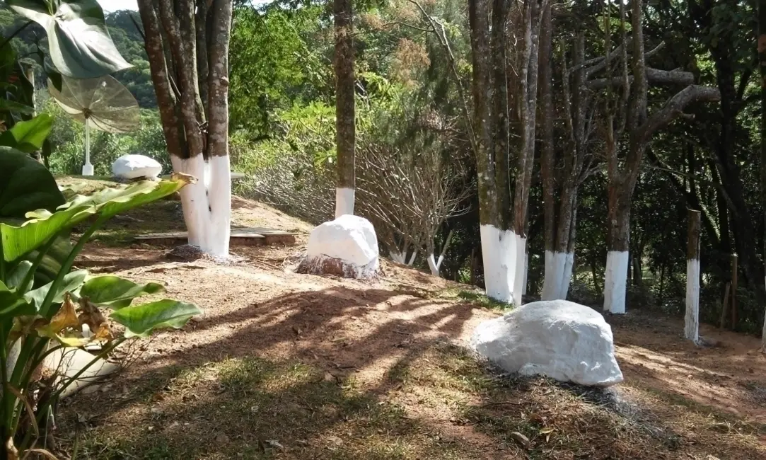 Foto 3 de Chácara com 5 quartos à venda, 350m2 em Mairipora - SP