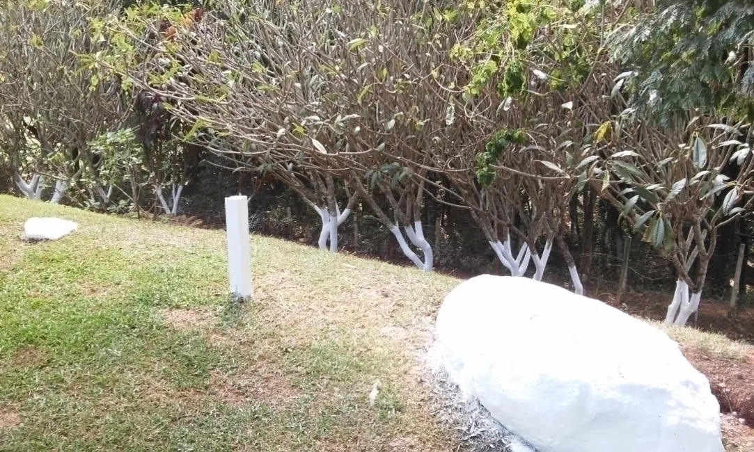 Foto 5 de Chácara com 5 quartos à venda, 350m2 em Mairipora - SP