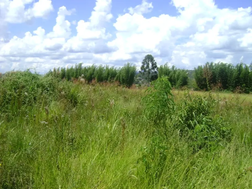 Foto 3 de Terreno / Lote à venda, 15700m2 em Mairipora - SP