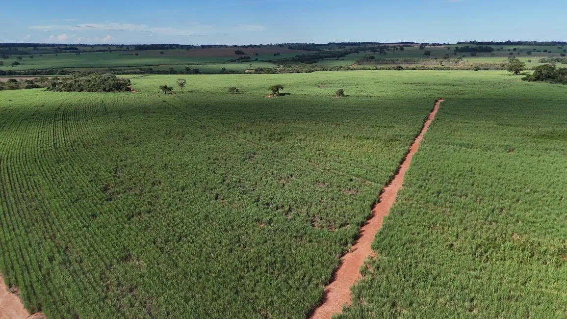Foto 11 de Chácara à venda, 198m2 em Centro, Cardoso - SP