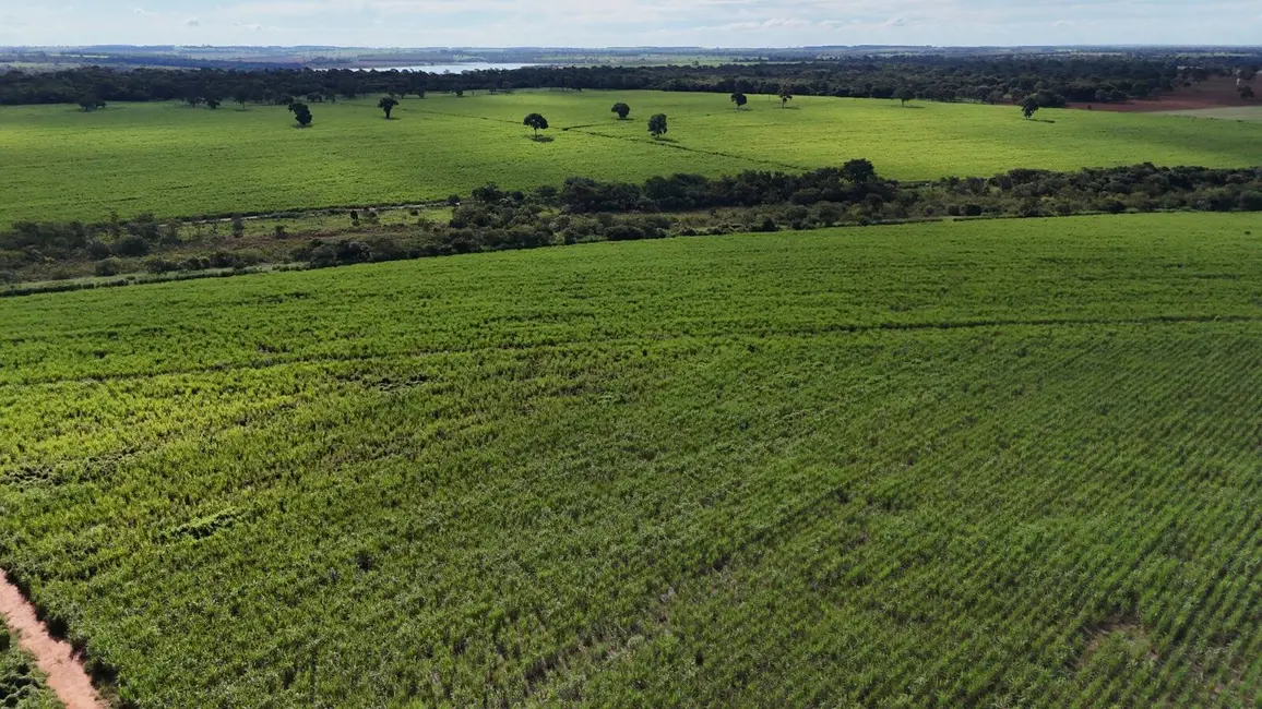 Foto 4 de Chácara à venda, 198m2 em Centro, Cardoso - SP