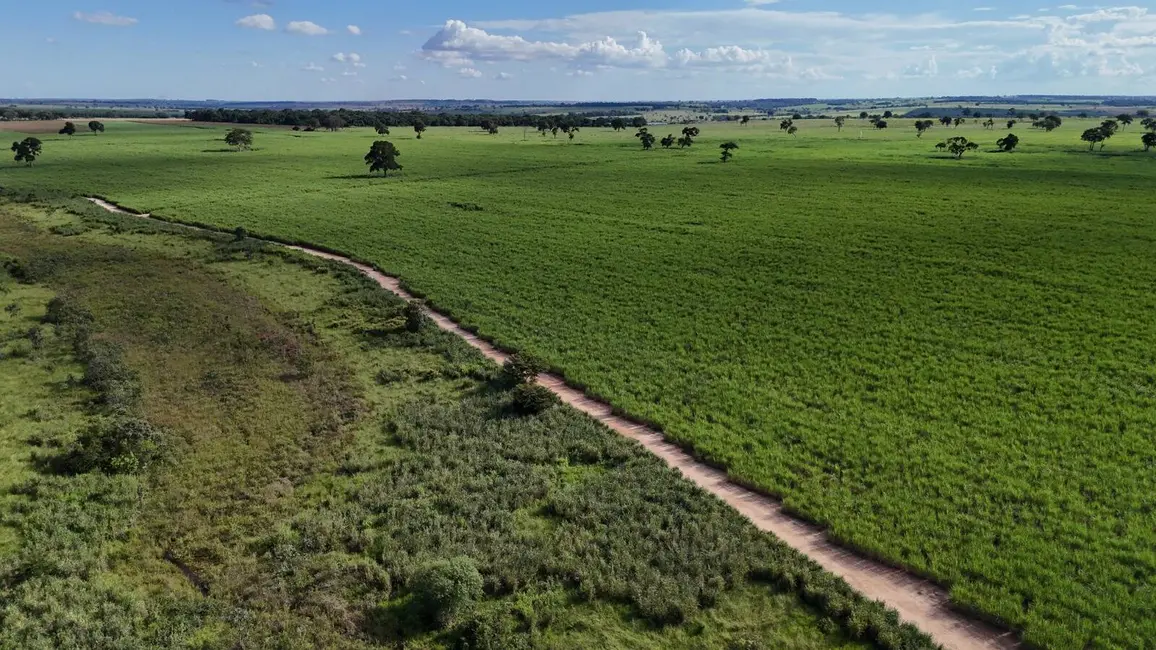 Foto 8 de Chácara à venda, 198m2 em Centro, Cardoso - SP