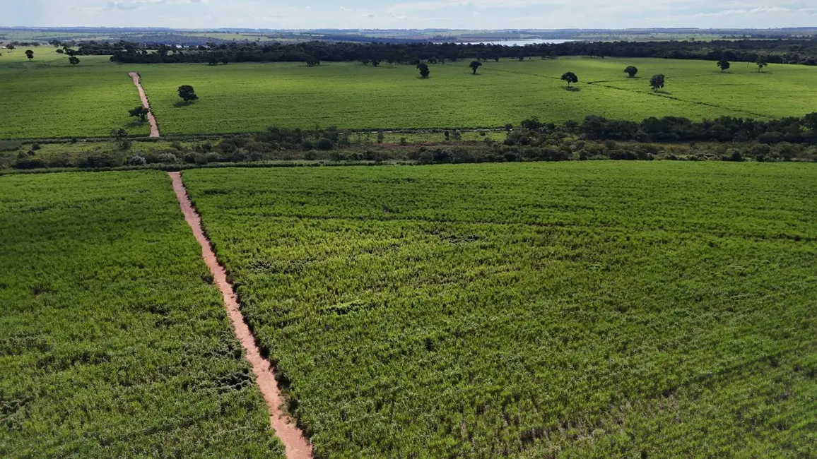 Foto 12 de Chácara à venda, 198m2 em Centro, Cardoso - SP