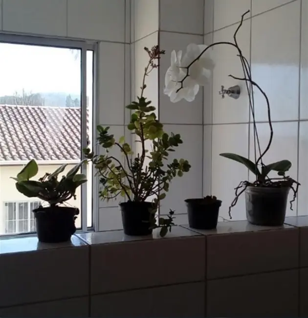 Foto 1 de Apartamento com 2 quartos à venda, 53m2 em Mairipora - SP