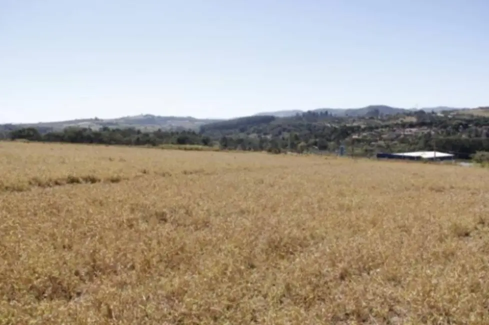 Terreno / Lote à venda, 6457m2 em Usina, Atibaia - SP - imagem 7 Foto 7 de Terreno / Lote à venda, 6457m2 em Usina, Atibaia - SP