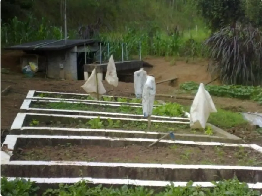 Foto 4 de Sítio / Rancho com 3 quartos à venda, 121000m2 em Nazare Paulista - SP