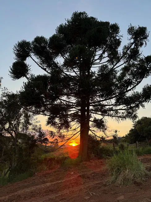 Foto 4 de Terreno / Lote à venda, 5000m2 em Joanopolis - SP