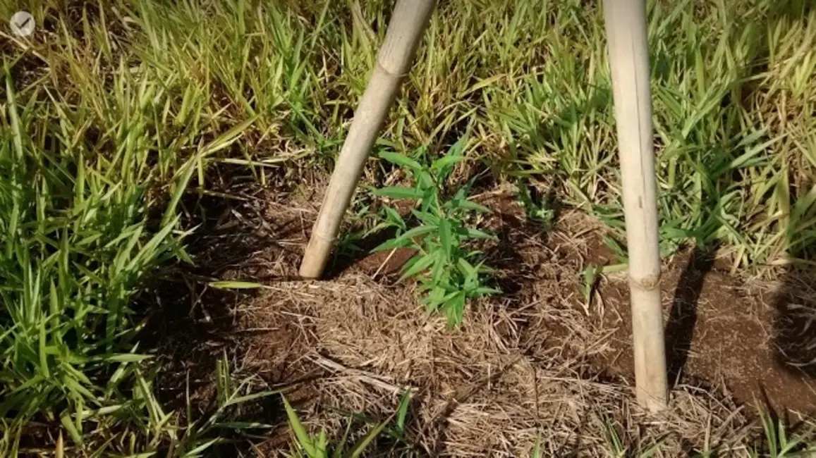 Terreno / Lote à venda, 9200m2 em Extrema - MG - imagem 6 Foto 6 de Terreno / Lote à venda, 9200m2 em Extrema - MG