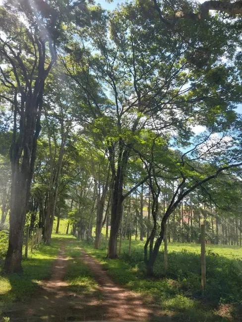 Foto 3 de Sítio / Rancho com 4 quartos à venda, 500m2 em Bom Jesus Dos Perdoes - SP