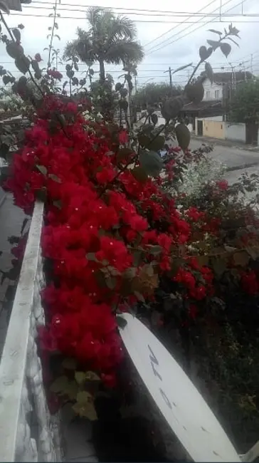 Foto 6 de Casa com 4 quartos à venda, 173m2 em Itanhaem - SP