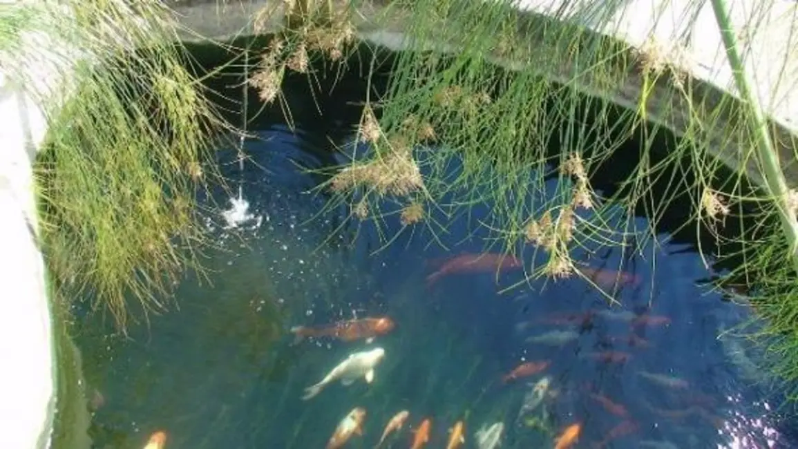 Foto 4 de Chácara com 4 quartos à venda, 4200m2 em Curitibanos, Braganca Paulista - SP