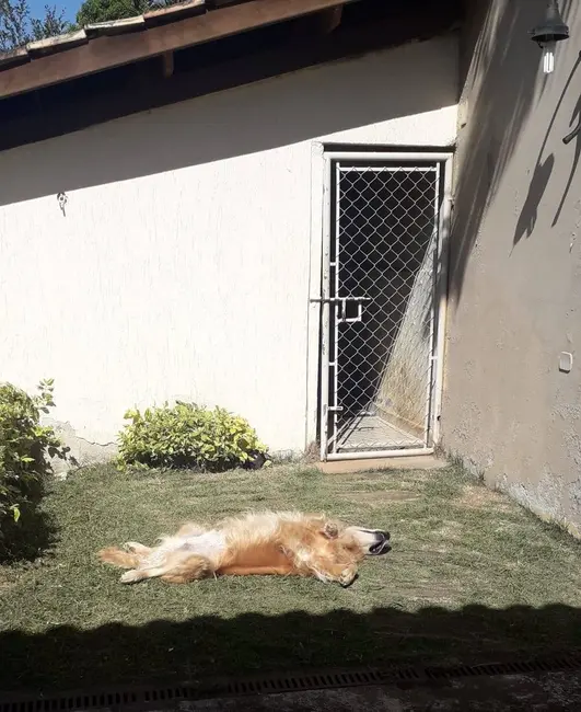 Foto 3 de Chácara com 3 quartos à venda, 1000m2 em Mairipora - SP