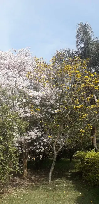 Foto 5 de Chácara com 3 quartos à venda, 1000m2 em Mairipora - SP