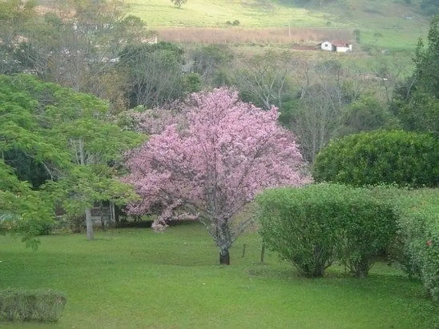 Foto 3 de Chácara à venda, 15000m2 em Bom Jesus Dos Perdoes - SP