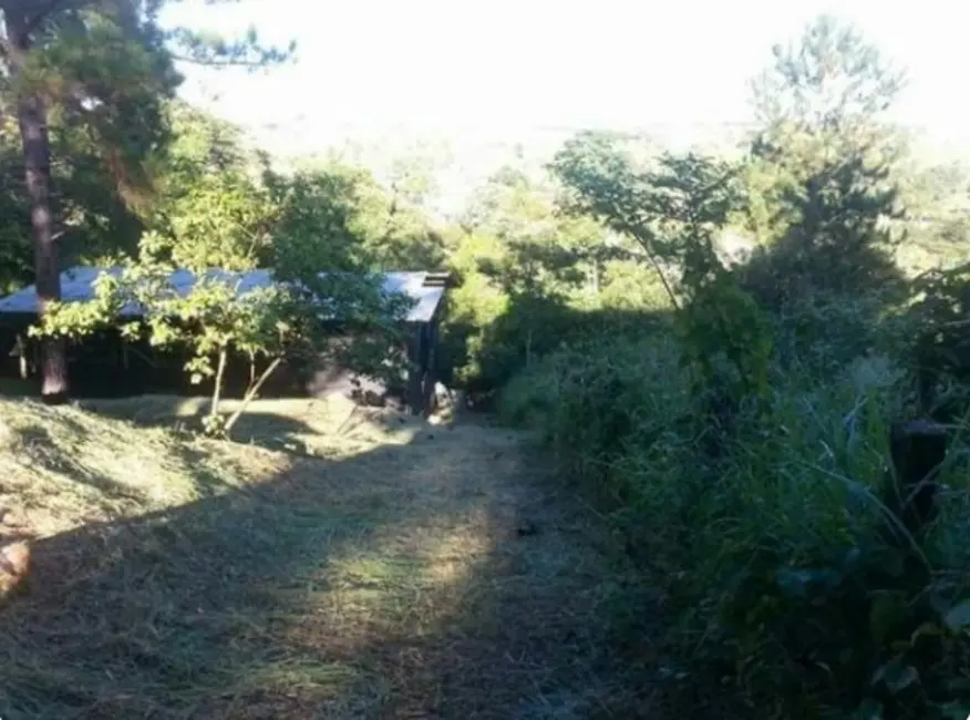 Foto 6 de Chácara com 3 quartos à venda, 2000m2 em Jardim Estância Brasil, Atibaia - SP