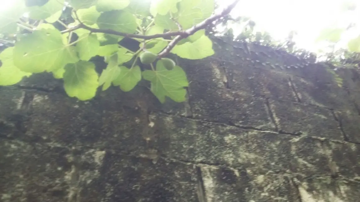 Foto 5 de Casa de Condomínio com 4 quartos à venda, 5000m2 em Recanto dos Palmares, Atibaia - SP
