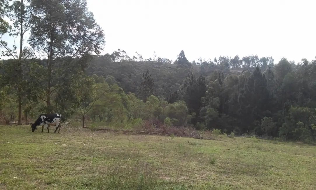 Foto 9 de Terreno / Lote à venda, 34000m2 em Mairipora - SP