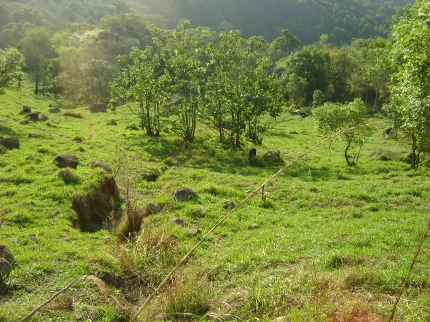 Foto 3 de Terreno / Lote à venda, 6000m2 em Mairipora - SP