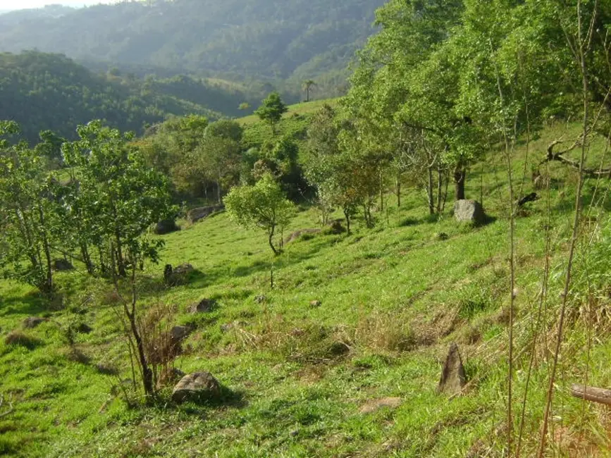 Foto 6 de Terreno / Lote à venda, 6000m2 em Mairipora - SP