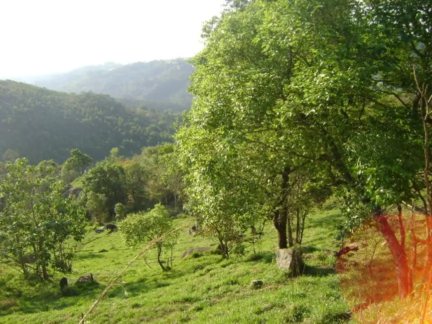 Foto 4 de Terreno / Lote à venda, 6000m2 em Mairipora - SP